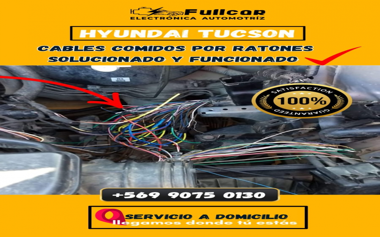 Fullcar electrónica automotriz a Domicilio en Tuerkas.com