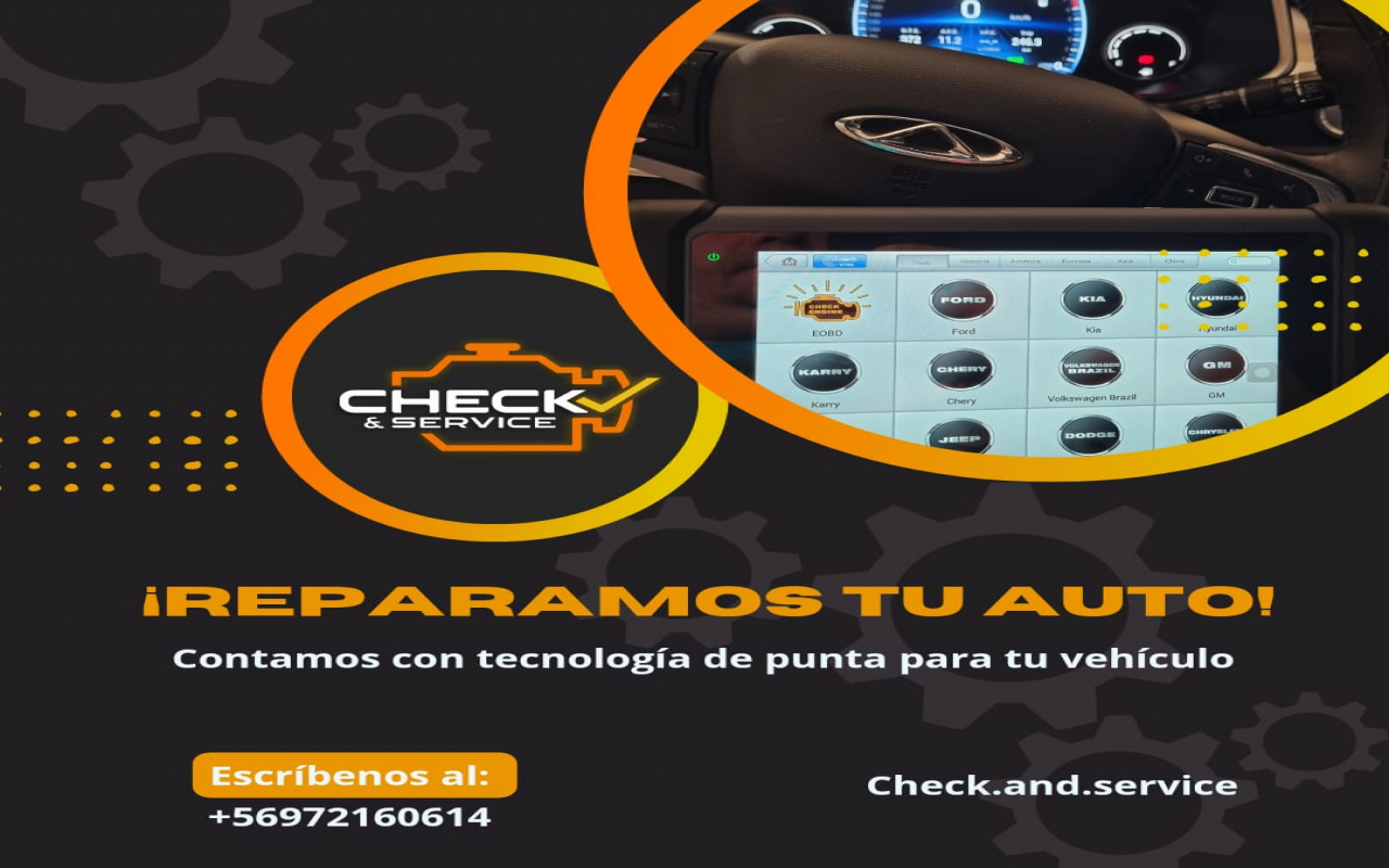 Check and Service en Tuerkas.com